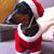 Agustin Lazaro's profile image