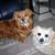 Sandra Denisuk's profile image