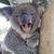Carol Tillman's profile image