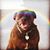 Chris Pilon's profile image