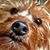 Karen Jasina's profile image