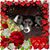 Beth Boddy's profile image