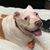 Barb Mazzotta's profile image