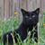 Tracey Williams Rathosky's profile image