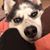 Kerry Hallenbeck Sparks's profile image
