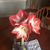 Victoria Geiler-Jones's profile image
