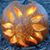 Kit Miner Frongillo's profile image