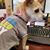 Gennevia Porterfield's profile image
