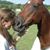 Shannon Burton's profile image