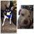 Jaye Nite-Britt's profile image