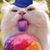 Mike Koehler's profile image