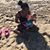 Shanta Grant's profile image