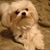 Charlie-Theresa Dodson McGee's profile image