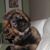 Denise Decker's profile image