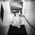 Lindsay Queiros's profile image