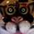 Carol A Schuenemann's profile image