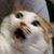 Tyler Burdge's profile image