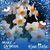 Holland Brown's profile image