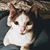 Kelley Logsdon's profile image