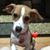 Hector Jessica Gonzalez Ramos's profile image