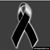 Luis Cruz Nieto's profile image
