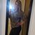 Tiffany Jones's profile image