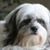 Elina Mavromatis's profile image