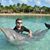 Brandon Judd's profile image