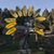 Tawnee Smooth's profile image