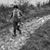 Biz Stamm's profile image