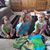 Donna Starck's profile image