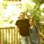 Shirly Cohen's profile image