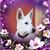Enriquez Rebeca's profile image