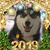 Tina Darling's profile image