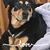 Julia M. Olivares's profile image