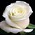 Jayme Cotter's profile image