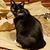 Kathi Faurote's profile image