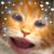 Destiny Krull's profile image