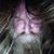 Eric Buss's profile image