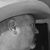 Don D. Benedict's profile image