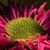 Karen Baker's profile image