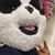Angel Bautista's profile image