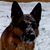 Marion Vainumäe's profile image