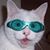 Helen Leeper's profile image