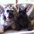 Jeanne Turner's profile image