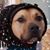 Michelle Ruiz Belli's profile image