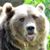 Juddy Hirst's profile image