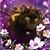 Sue Sawyer's profile image