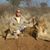 Marianne Tracey's profile image