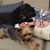 Alice Keesee Martin's profile image